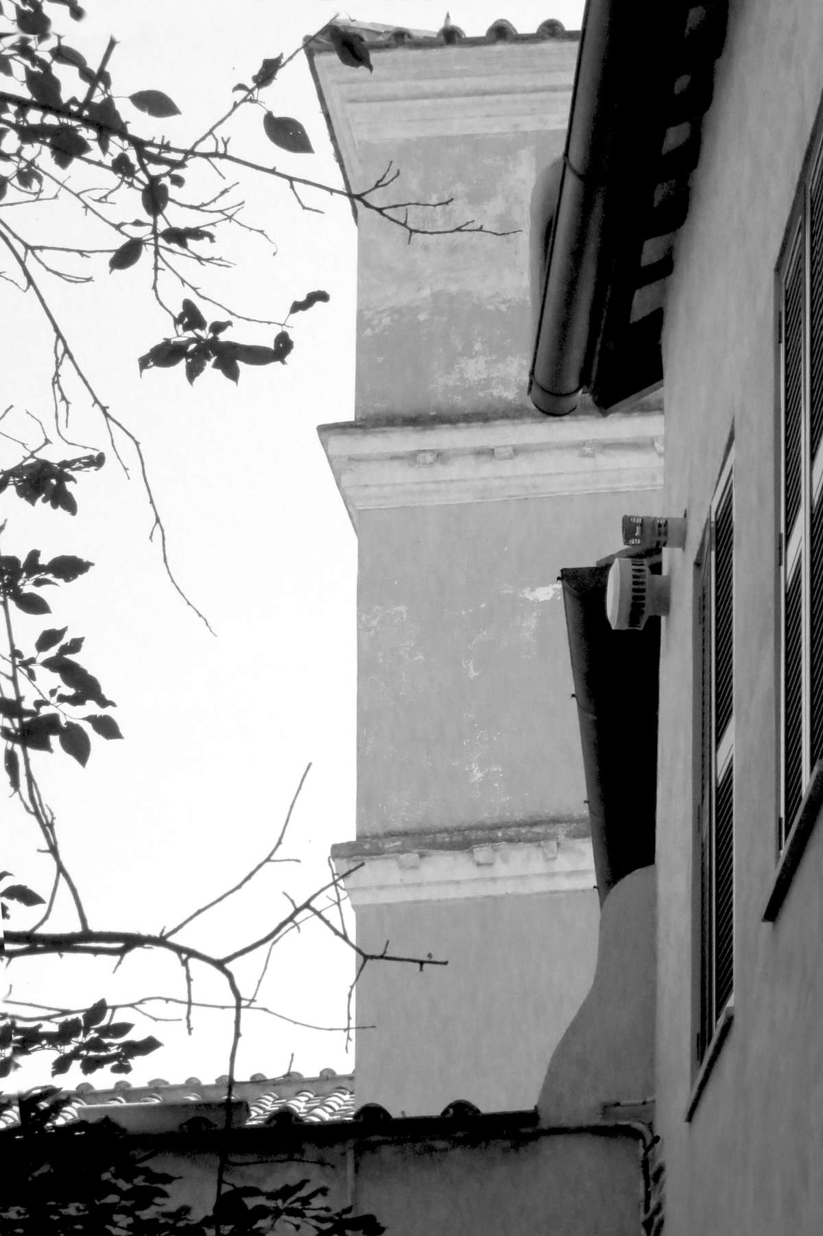 Abb. 51-MariaAnnunziata_003.jpg